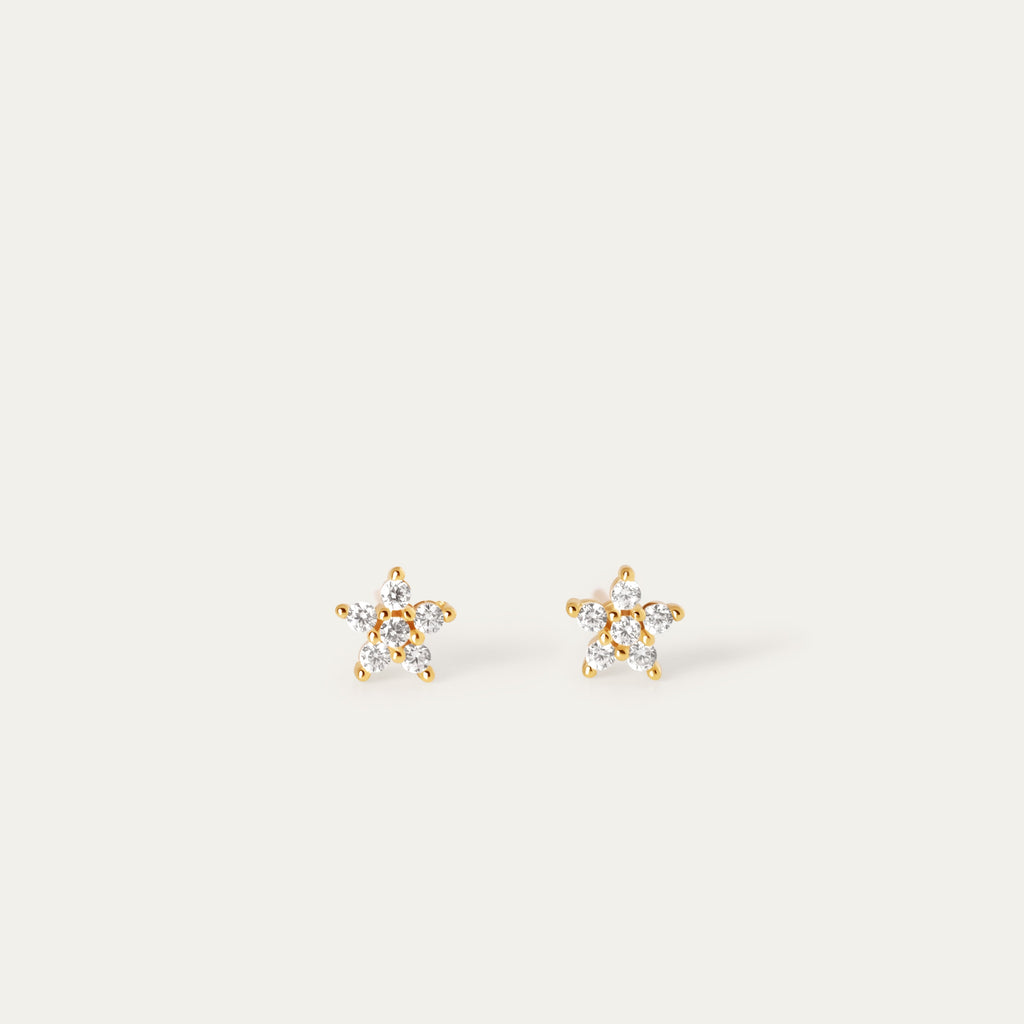 Flo CZ Studs (14K Gold Vermeil)