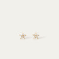 Flo CZ Studs (14K Gold Vermeil)